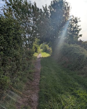 Le Bourdet, balade bocagère et sentier de découverte - AURELIE - 3