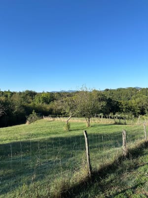 Le long de l’Yzeron, par Sellegaud - Delphine - 4