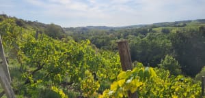Au cœur de la réserve naturelle des Coteaux du Pont Barré - Gwénaëlle - 8