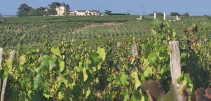 Au cœur de la réserve naturelle des Coteaux du Pont Barré - Gwénaëlle - 9