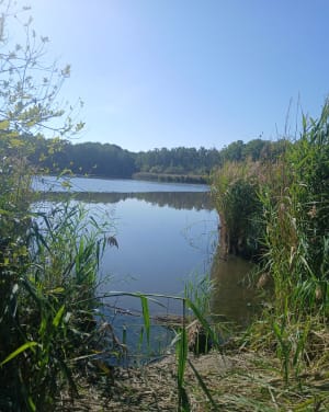 Sabatiercircuit en herinnering aan de steenbergen van het Noorden - Fabrice - 5