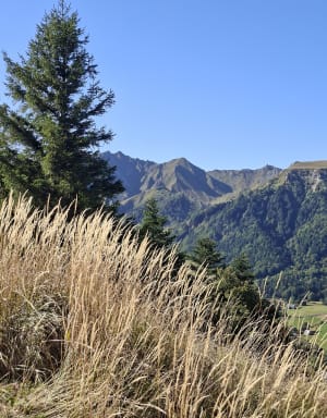 La Grande Cascade Mont Dore - Mont-Dore - 7