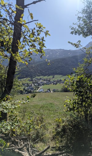 Curiosités naturelles de Corrençon et vertus des plantes alpines - Nathalie - 3