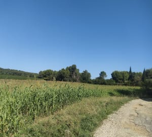 Randonnée sympathique à  Entraigues sur la Sorgue - Emma - 4
