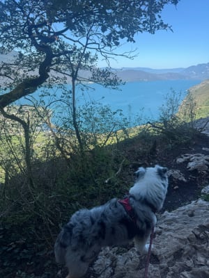 Grottes des Fées et mystère de la Dent du Chat au loin - Pierre Henri - 6