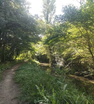 Randonnée sympathique à  Entraigues sur la Sorgue - Emma - 7