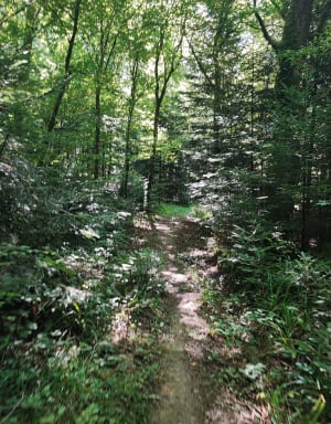 Promenade jusqu’à la Source des Ermites - Vincent - 4