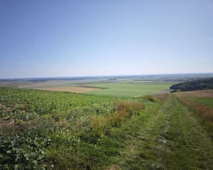 Balade à la découverte de l'oppidum de Montaigu - Anne-Sophie - 2