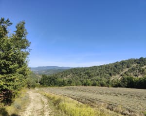 Les hauts d'Aubenasson par les sentiers - Hugo - 6