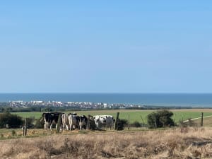 Départ du Touquet vers Bunker Hardelot avec Opale-Bike - Sébastien - 9