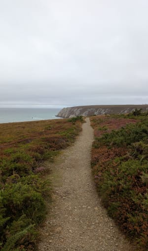 Balade entre GR34, campagne et plages de Kersiguénou - VERONIQUE - 6