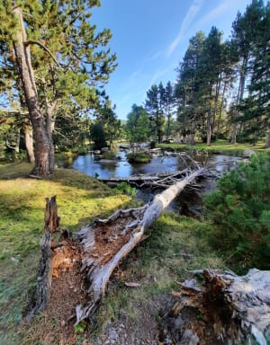 Balade du lac Calvet aux bords de la Têt - Celine - 10