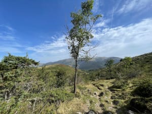 Courtaou des Esclodes - Campan - 9