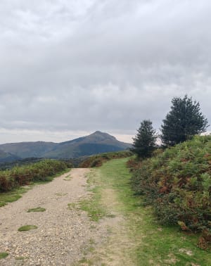 Boucle du col d'Ibardin par le GR 10 - Urrugne - 4