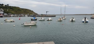 Autour de Port-en-Bessin-Huppain - Laurence - 2