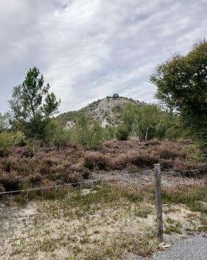 Balade d’Abbaretz, terril et Plan d'eau de la Mine - Carole - 7