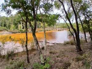 Balade d’Abbaretz, terril et Plan d'eau de la Mine - Carole - 5