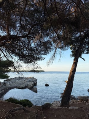 Boucle complète autour de l'île de Sainte Marguerite - Cannes - 8