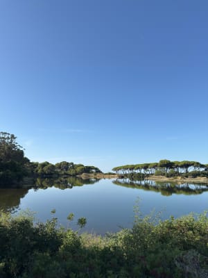 Boucle complète autour de l'île de Sainte Marguerite - Cannes - 11