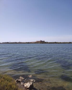 Etang Fos sur mer - David - 7