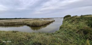 Entre marais et bocage à Étienville - Raymond - 7