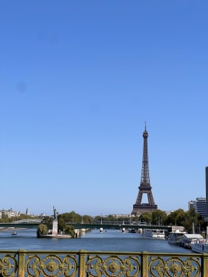 Tour de Paris Rive gauche par les quais et les Mmaréchaux - LAURENT - 3
