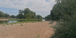 L'île de la Métairie par la Pointe à Cornu - Arnaud - 6