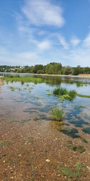 L'île de la Métairie par la Pointe à Cornu - VAL - 5