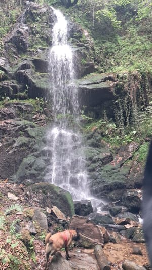 Promenade à la Cascade de la Piche - Valentin - 17