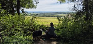 Belle vue sur la Suisse depuis Zimmersheim - Loïc - 5