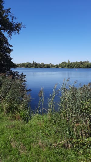 Lac de bouvent - Bourg-en-Bresse - 3