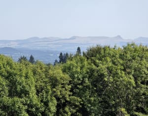 Le sommet des Agriers par Puy du Vareyron - Anne - 5