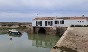 Balade dans les marais entre Loix et La Couarde-sur-Mer - Nathalie - 3