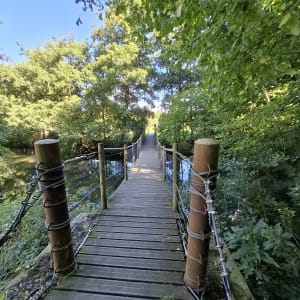 Randonnée Wizernes, par Esquerdes - Patrick - 4