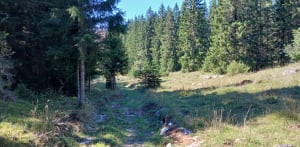 Boucle des Roches d'Orvaz à La Pesse - La Pesse - 8