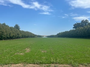 Le calme la beauté du Parc de Versailles - Versailles - 6