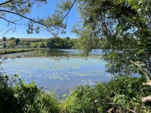 Balade autour du Lac de Bairon - KARINE - 6