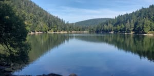 Lac des corbeaux et son belvédère - La Bresse - 16