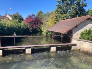 Boucle Norges-la-Ville et Brétigny - Laetitia - 12