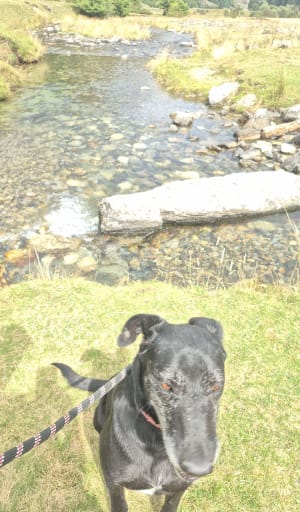 Marche autour du lac d'Estaing - David - 4