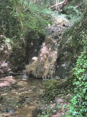 Balade du Château de Chazeron à la cascade de l'écureuil. - Noémie - 8