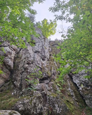 Gorge de Bilhard depuis Monistrol - Marc - 8