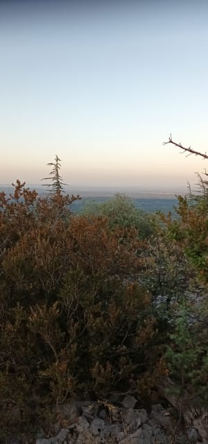 Uitstapje naar de Mont Ventoux - Bédoin - 13