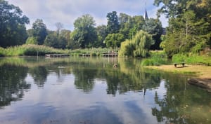 Aventure nature près de Théméricourt et diversité des alentours - FRANCIS - 11