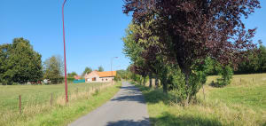 Balade le long de la Marque - Julien - 3