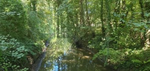 Balade le long de la Marque - Julien - 4