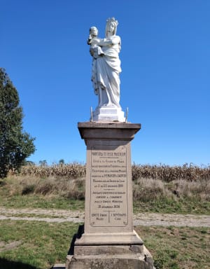 Au bord du ruisseau des échets , en sous bois - Audrey - 4