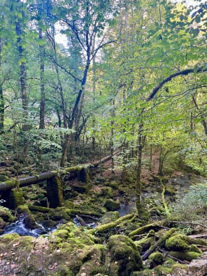 Promenade à la cascade des Tufs et petite source de la Cuisance - Les Planches-prés-Arbois - 21