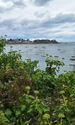 GR 34 entre le barrage de la Rance et Dinard - La Richardais - 7