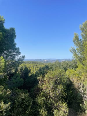 La forêt de Janas par Notre-Dame du Mai et les Terres Gastes - Lydie - 13